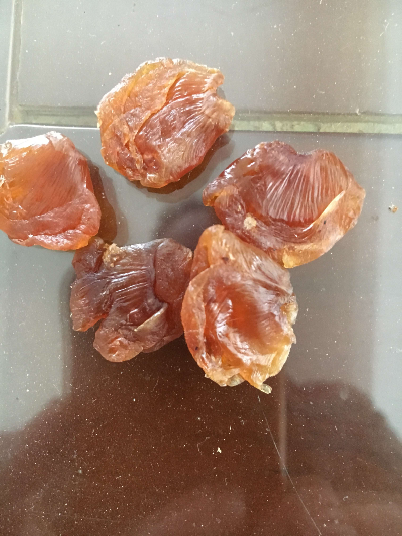 批发福建漳州优质一手货源片型桂圆肉龙眼肉