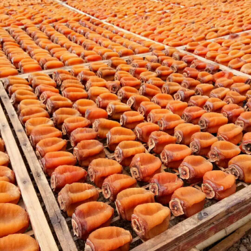 2018,新鲜柿饼供应