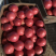 西红柿大量上市