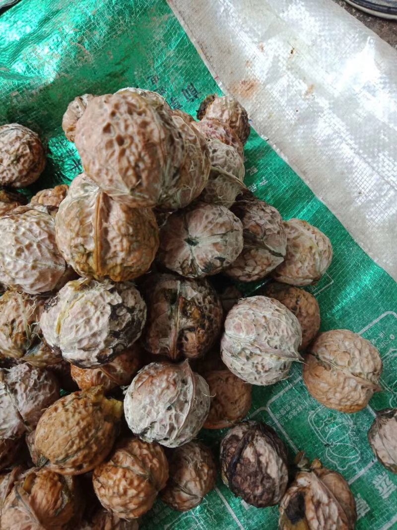 核桃果