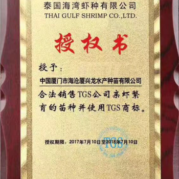 虾苗特快泰系一代对虾苗
