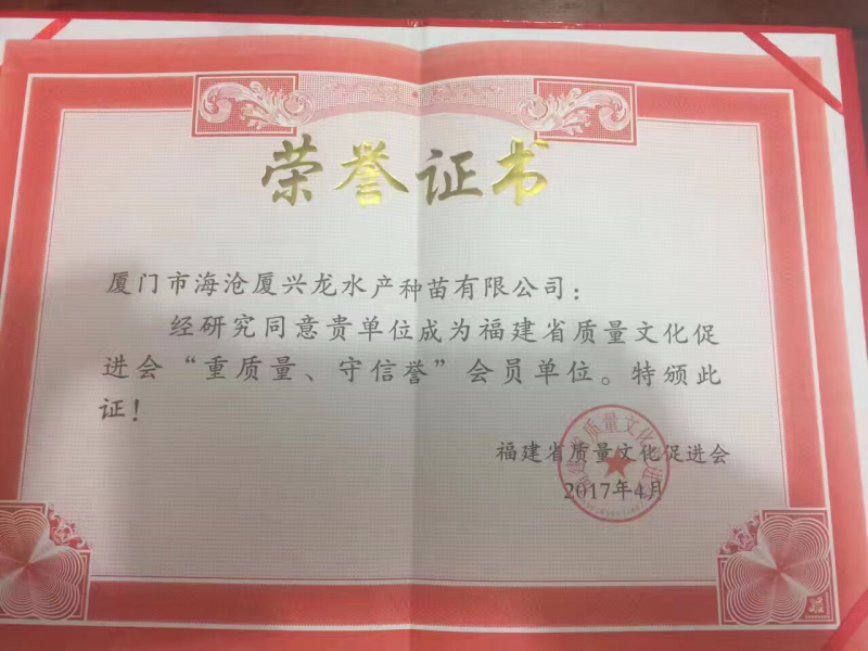 虾苗特快泰系一代对虾苗