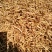 干黄花菜袋装