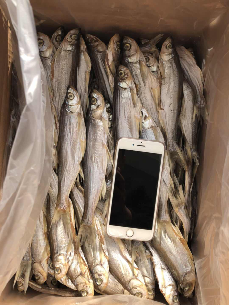 白鱼，毛刀鱼，兰刀鱼