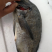 青佳鱼