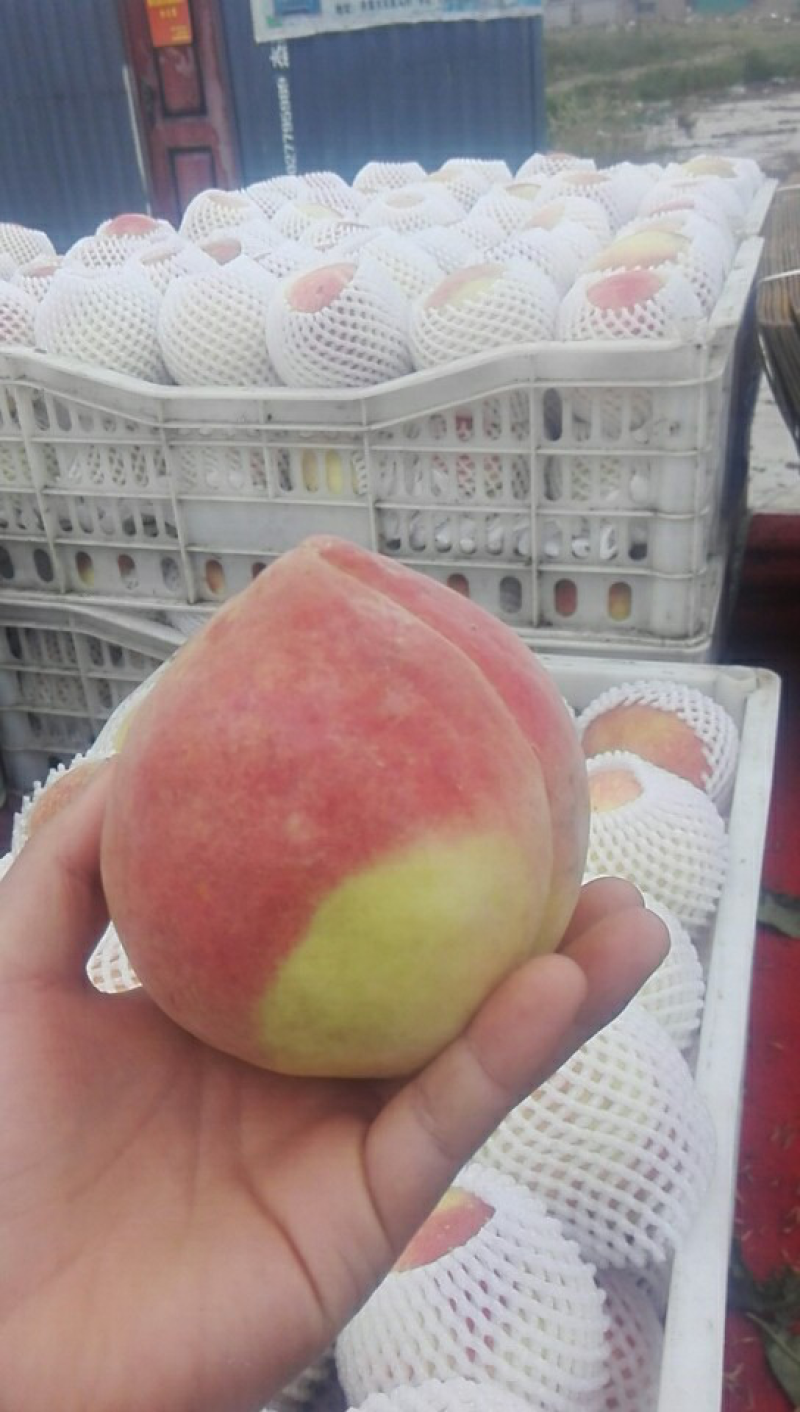 蜜桃