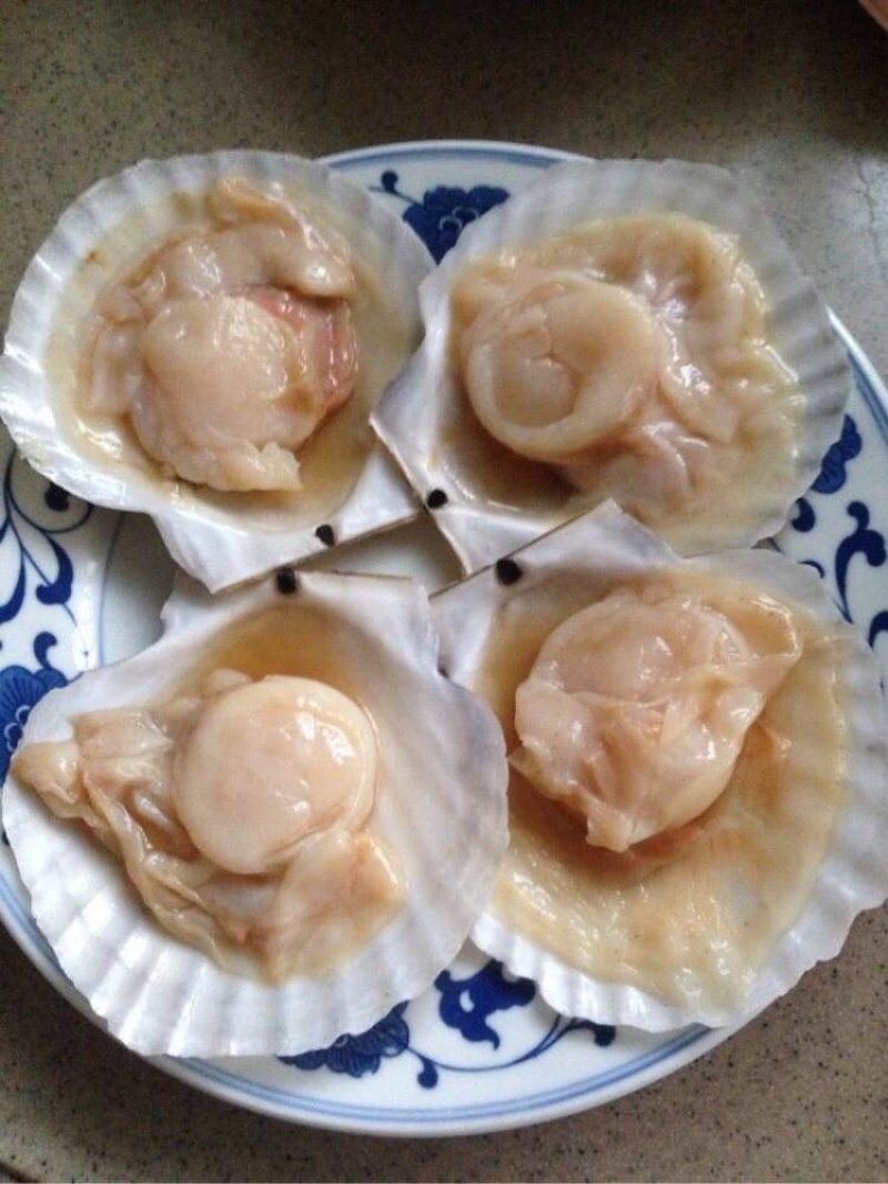 新鲜出海的扇贝
