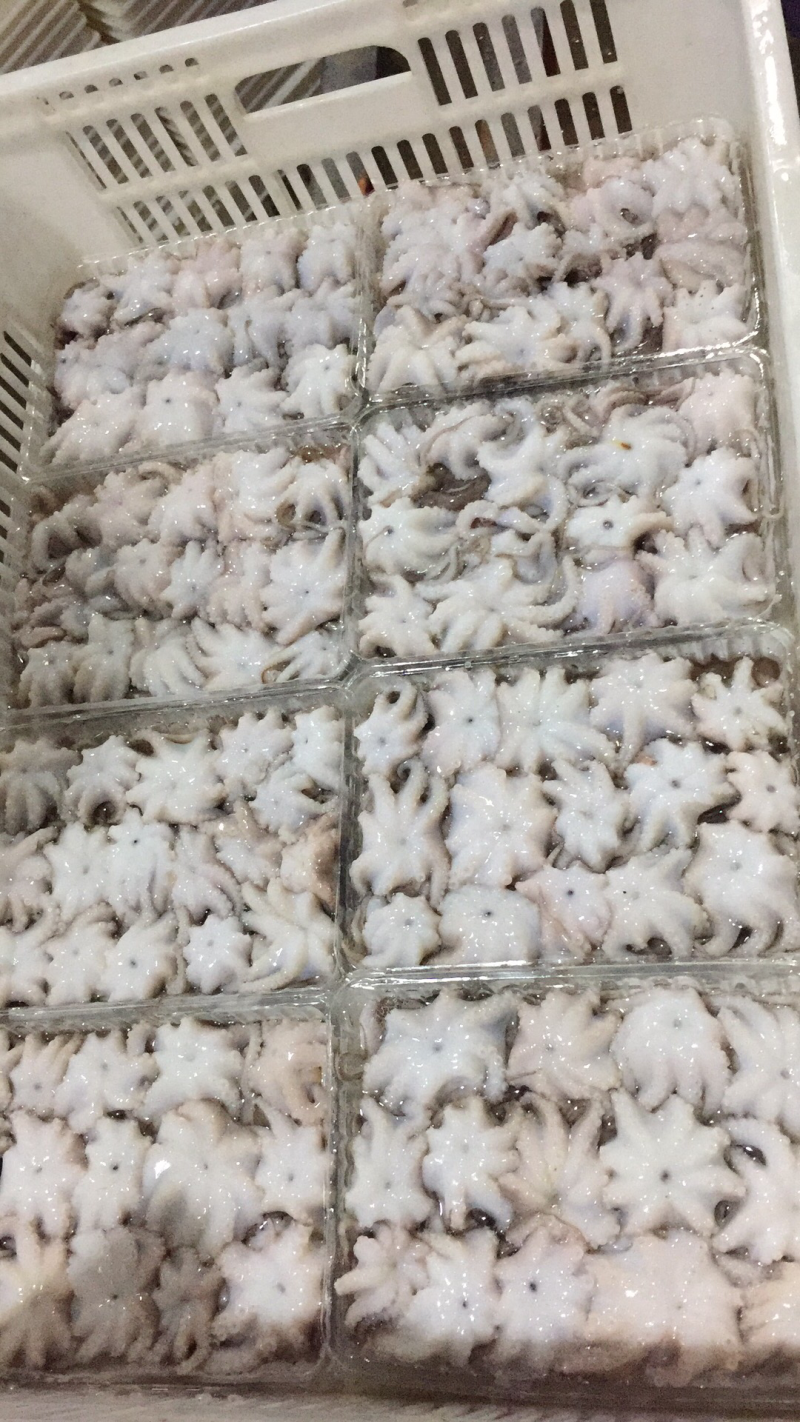 章鱼花，一口章甜脆爽口鲜嫩美味全国包邮
