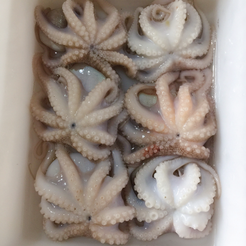 章鱼花，一口章甜脆爽口鲜嫩美味全国包邮