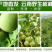 云南产干核桃果
