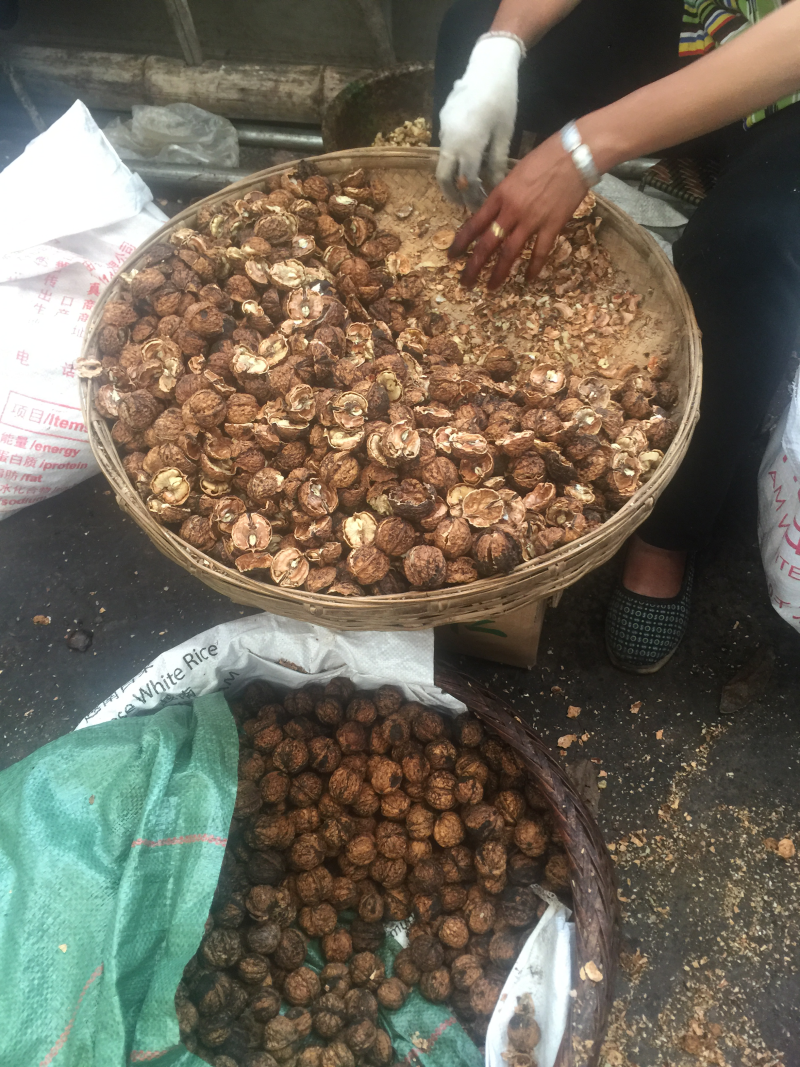 云南产干核桃果