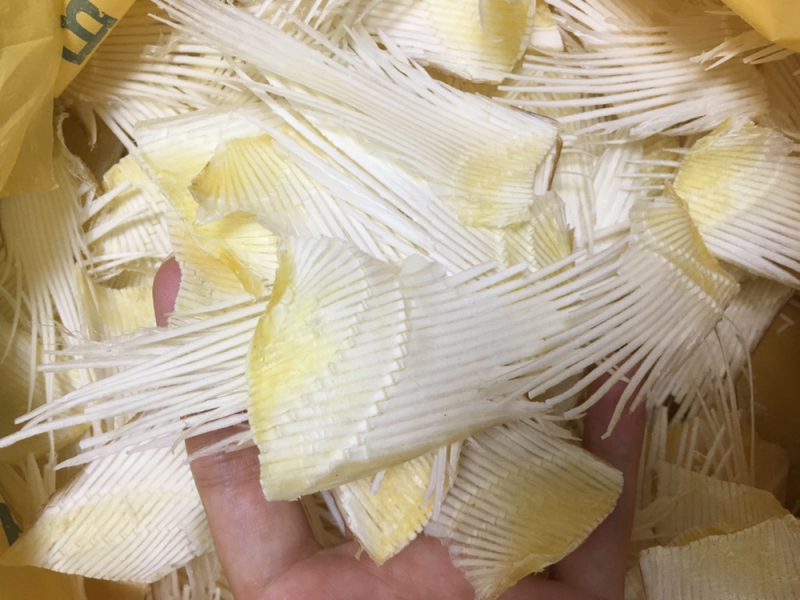 鱼翅骨中号足干补钙大王