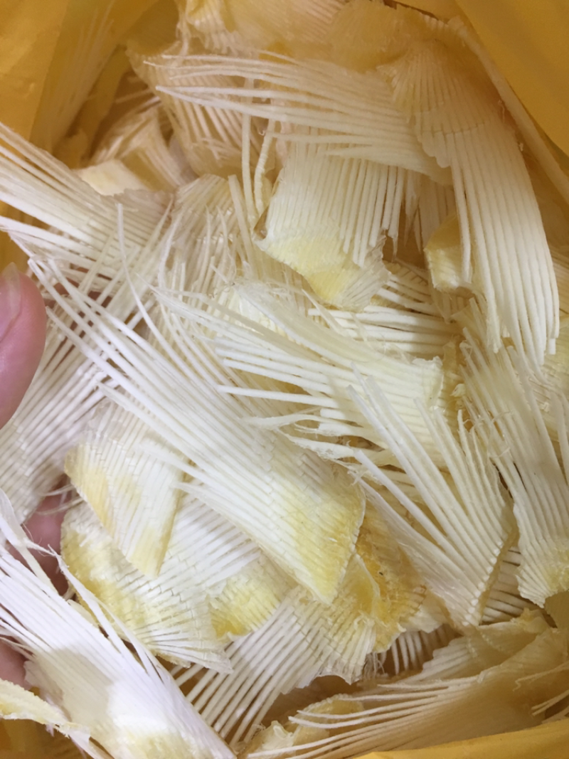 鱼翅骨中号足干补钙大王