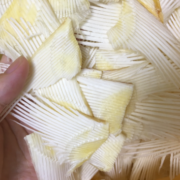 鱼翅骨中号足干补钙大王