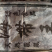 海带王，整根海带，优品海带
