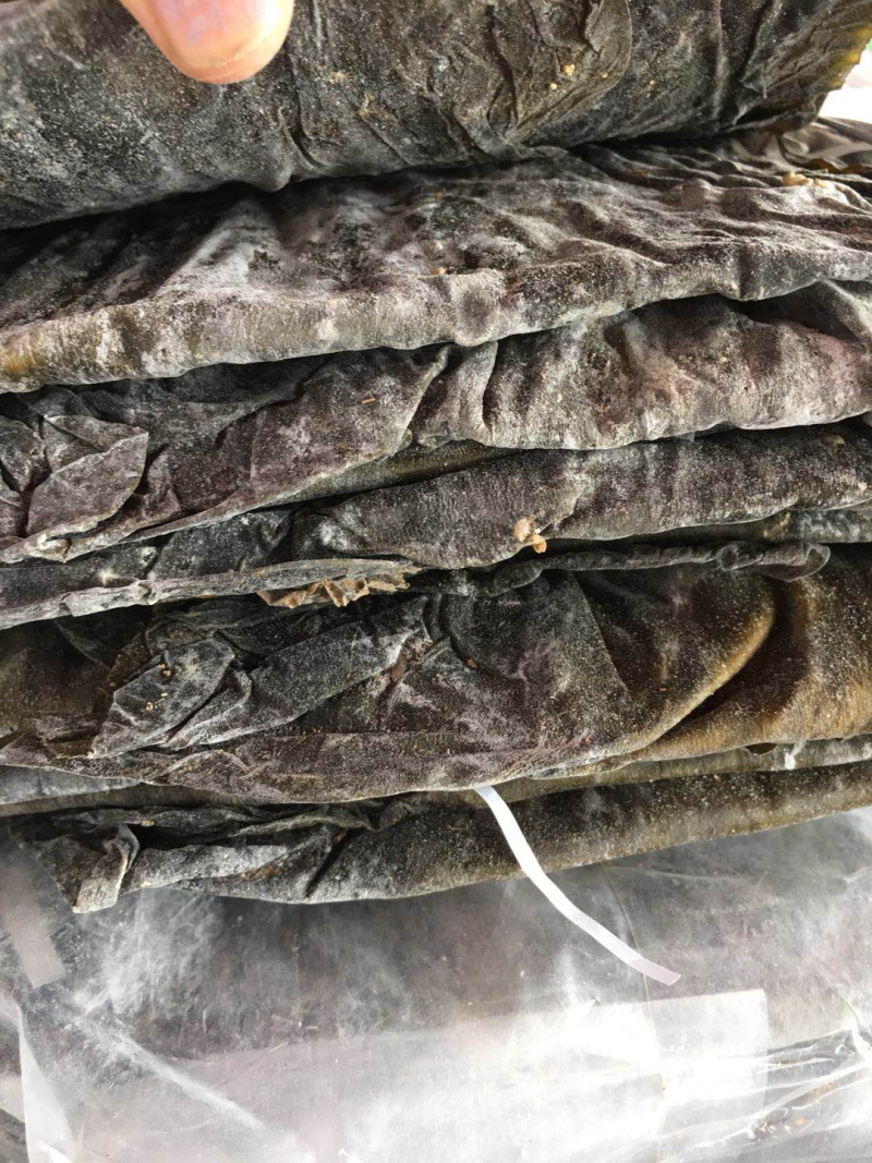 海带王，整根海带，优品海带
