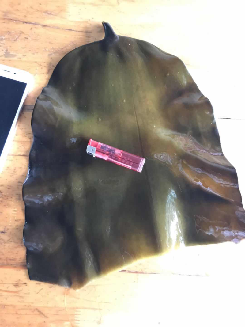 海带头，煲汤，切丝凉拌都可以