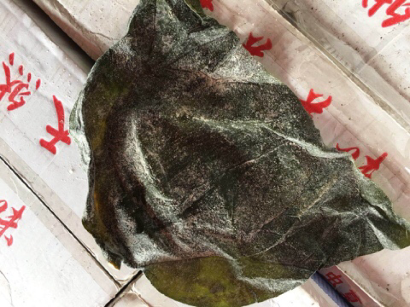 海带头，煲汤，切丝凉拌都可以