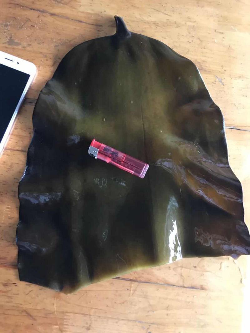 海带头，煲汤，切丝凉拌都可以