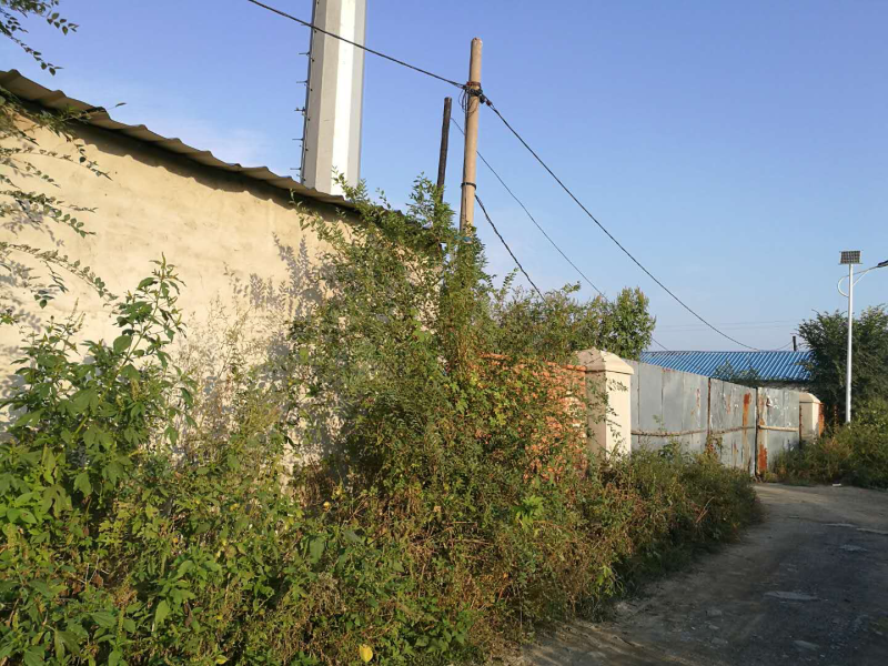 场地出租出卖养殖场养牛养羊养驴独院三相电养殖场