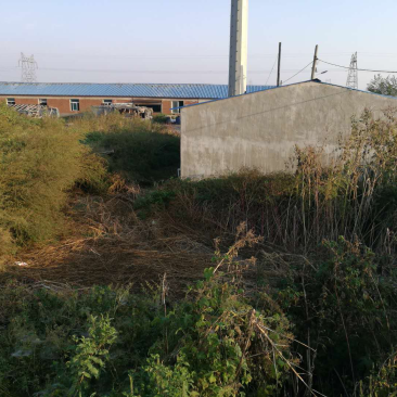 场地出租出卖养殖场养牛养羊养驴独院三相电养殖场