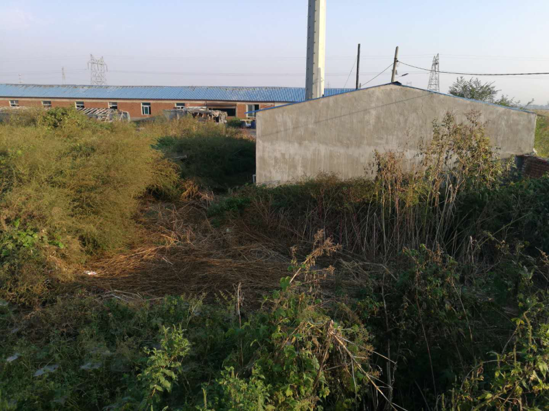 场地出租出卖养殖场养牛养羊养驴独院三相电养殖场