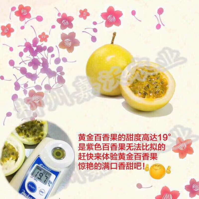 黄金百香果，VC之王