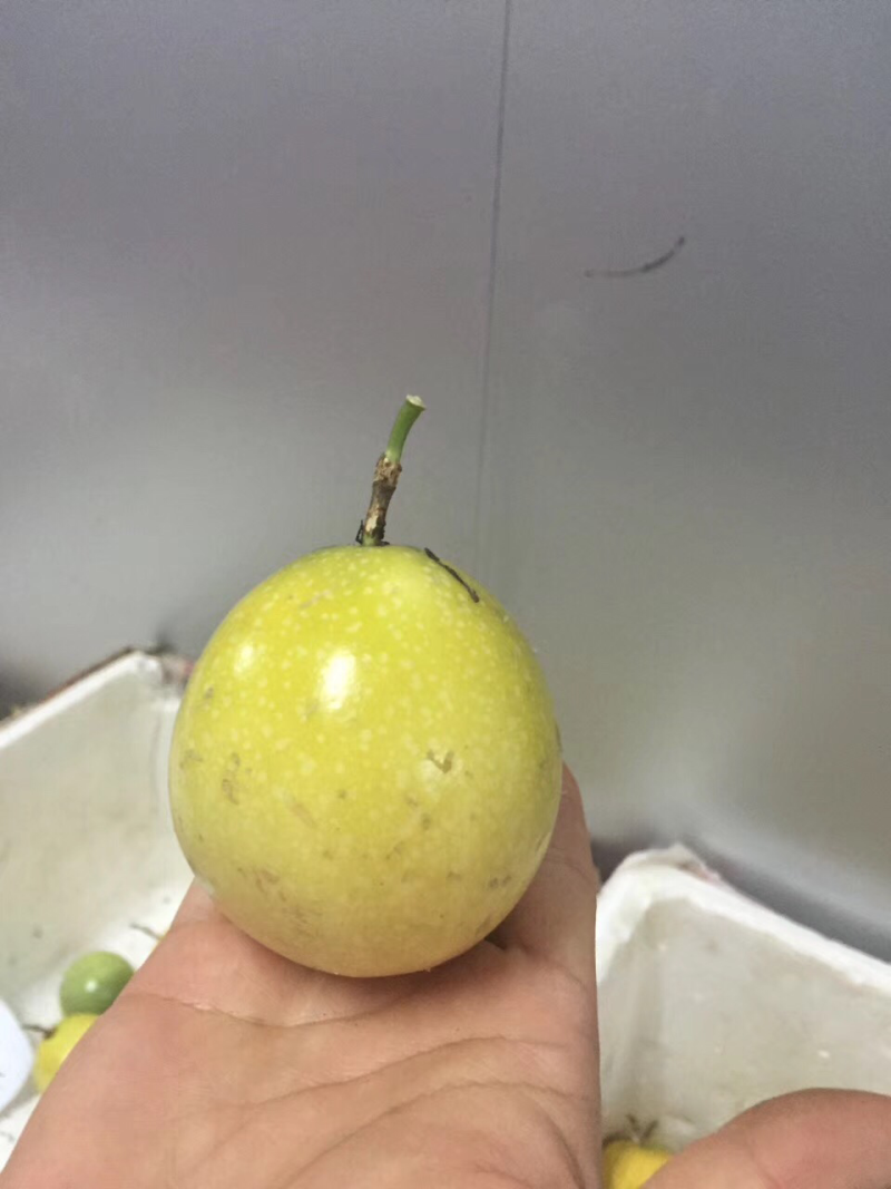 黄金百香果，VC之王