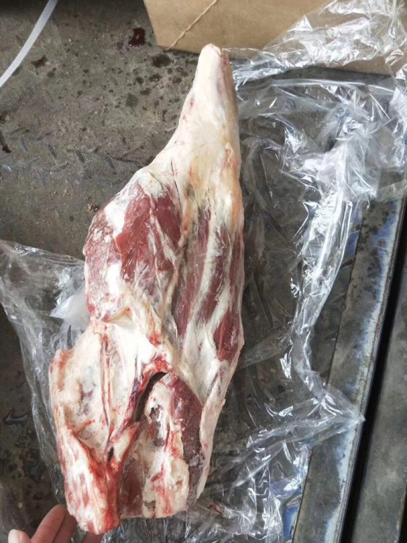 河间精品羊后腿产地直发，保质保量，欢迎老板选购