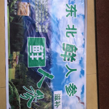 东北鲜沙参