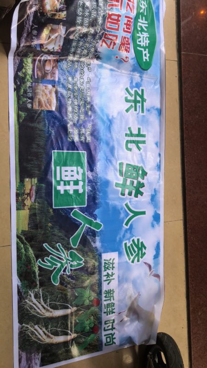 东北鲜沙参