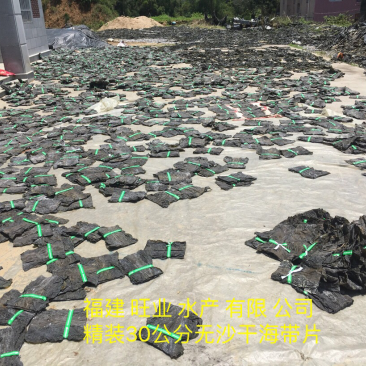 供应福建无沙干海带批发短板菜30公分三两纯两片菜
