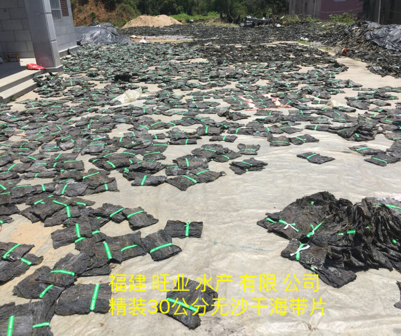 供应福建无沙干海带批发短板菜30公分三两纯两片菜