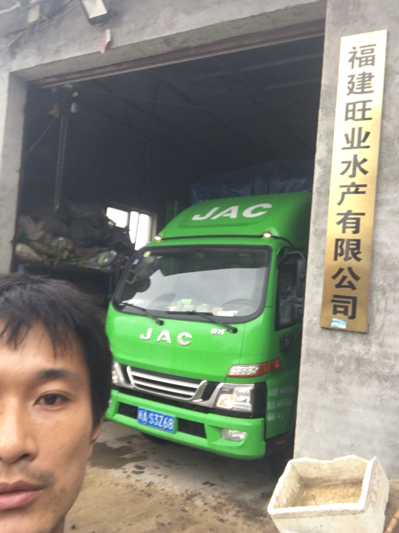 供应福建无沙干海带批发短板菜30公分三两纯两片菜