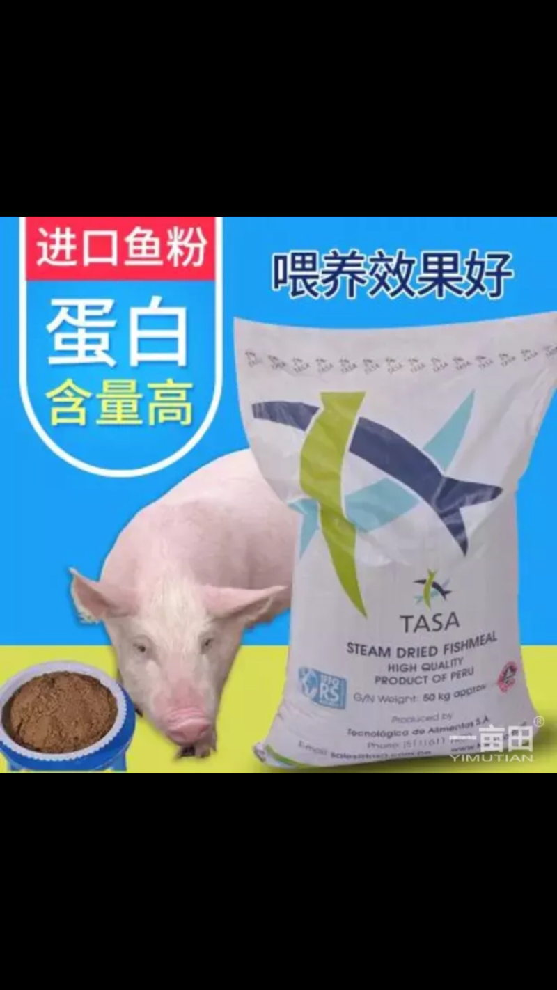 猪饲料进口鱼粉假一陪十