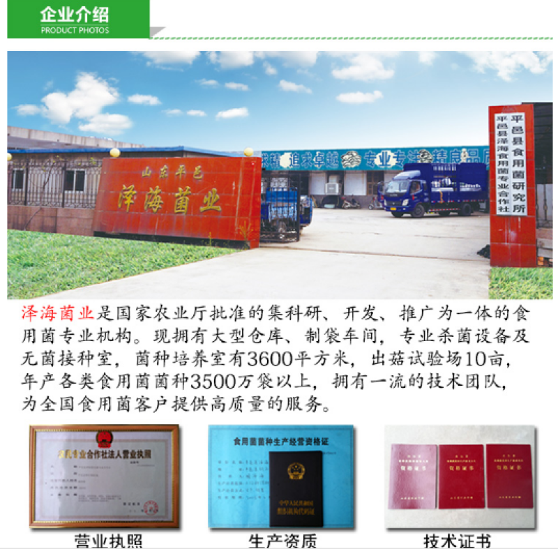 榆黄菇菌种原种二级种