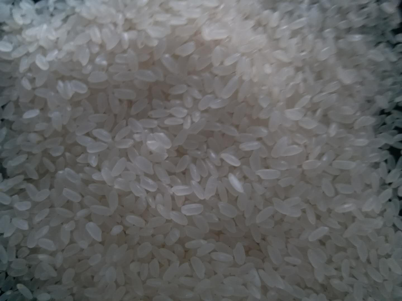 东北大米