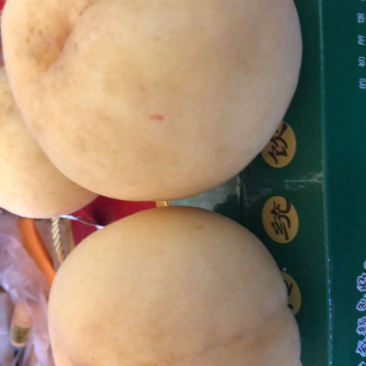 甜桃