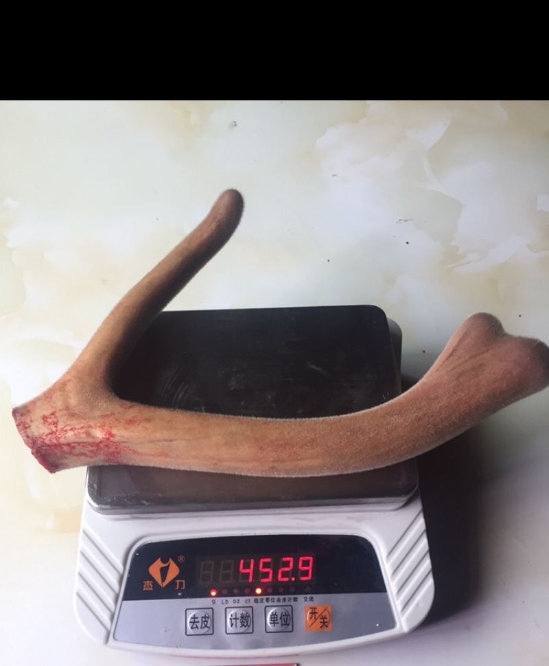 【鹿场直销】血茸含血充足野草饲养零添加精品鹿茸