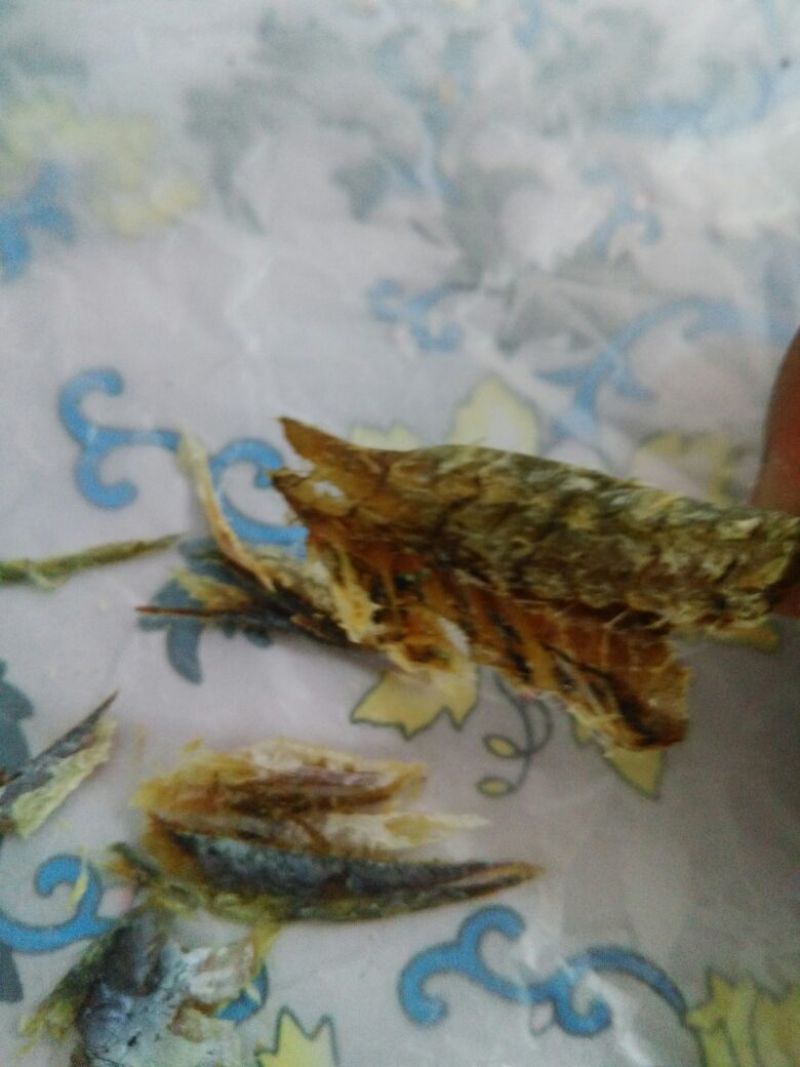 咸鱼