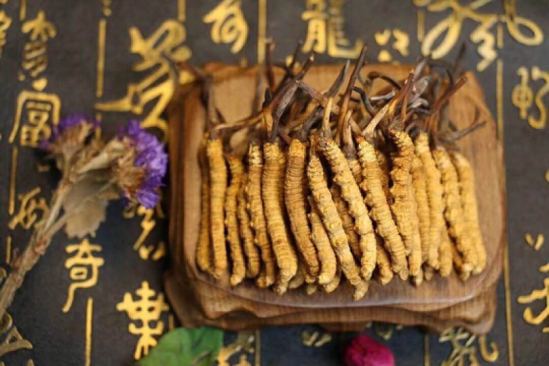 西藏那曲冬虫夏草