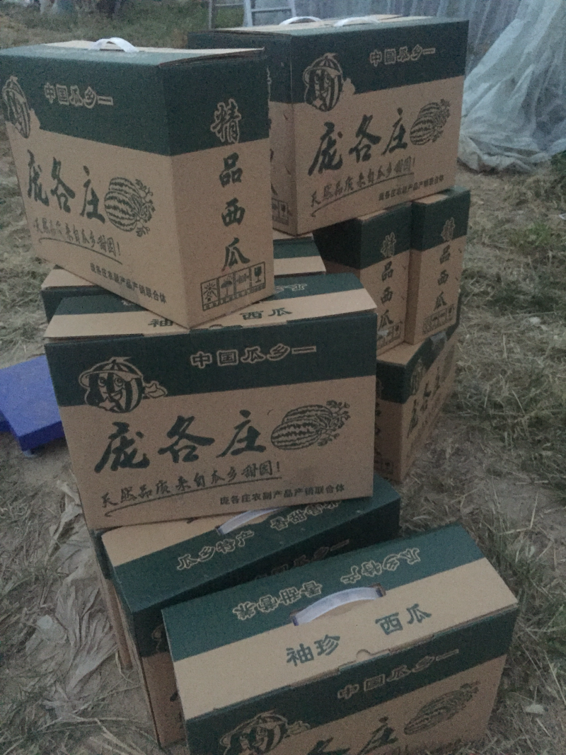 出售沙土地吊西瓜