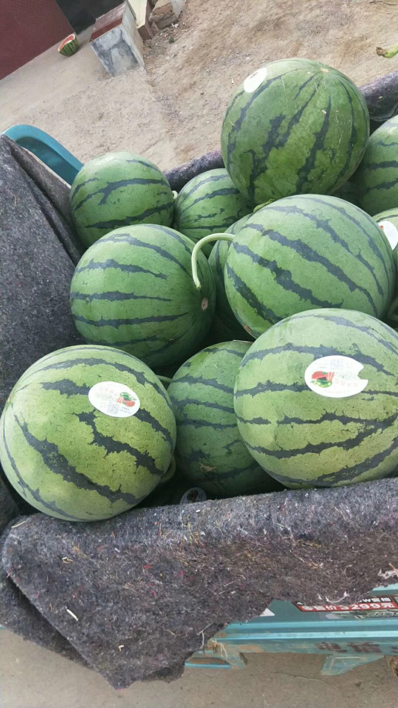 西州蜜西瓜甜瓜全面上市，