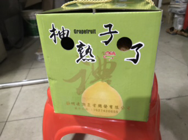 红肉蜜柚现可上市，山间种植红心柚1.8斤以上