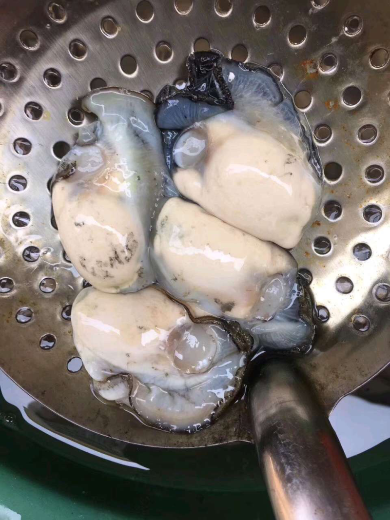 生蚝
