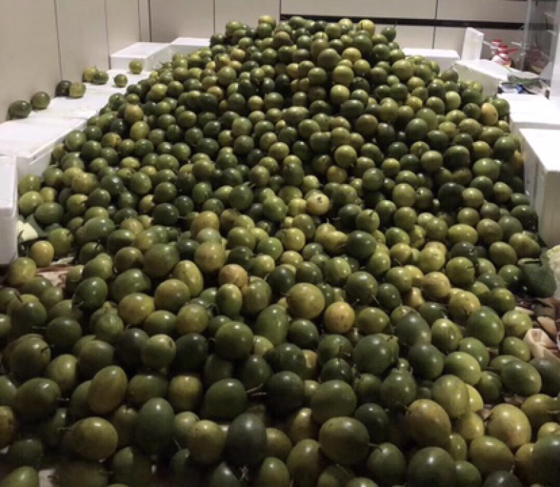 黄金百香果大果