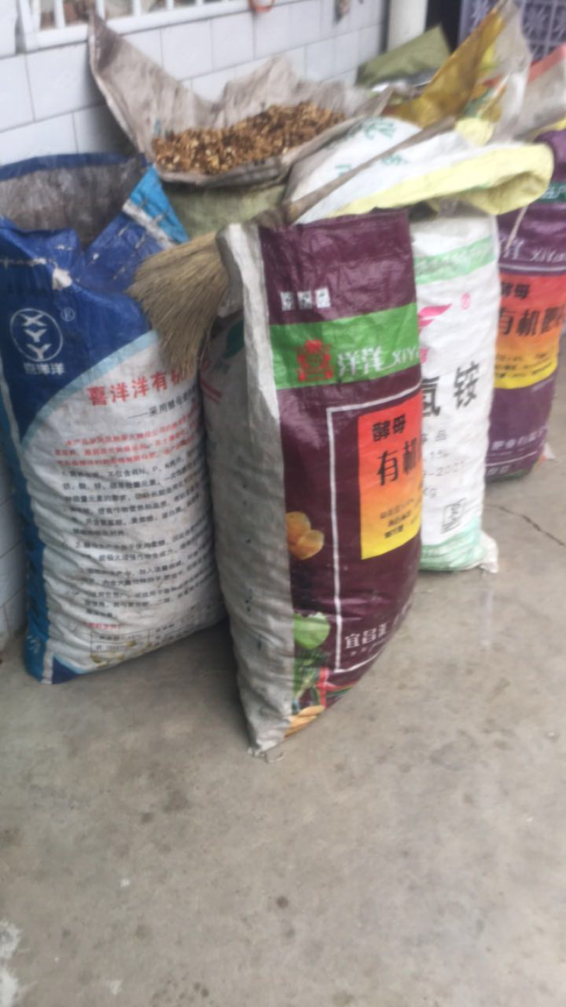 老品种、清香