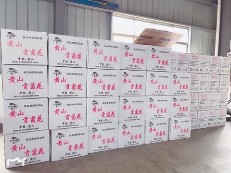 七月菊现货供应，基地直发