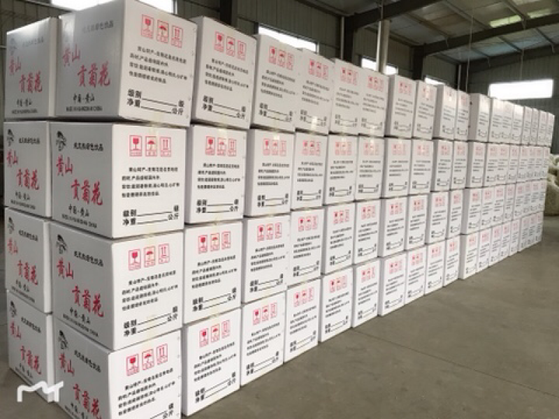 七月菊现货供应，基地直发