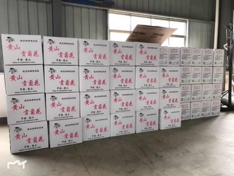 七月菊现货供应，基地直发
